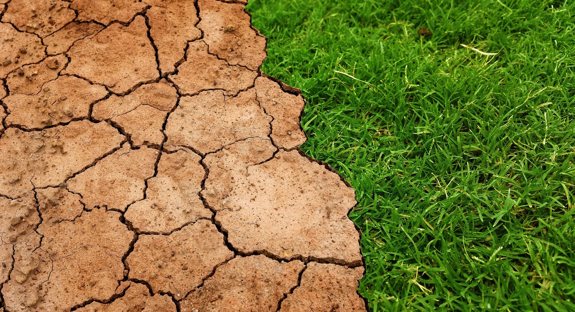 Il clima è impazzito! Cosa sta succedendo?