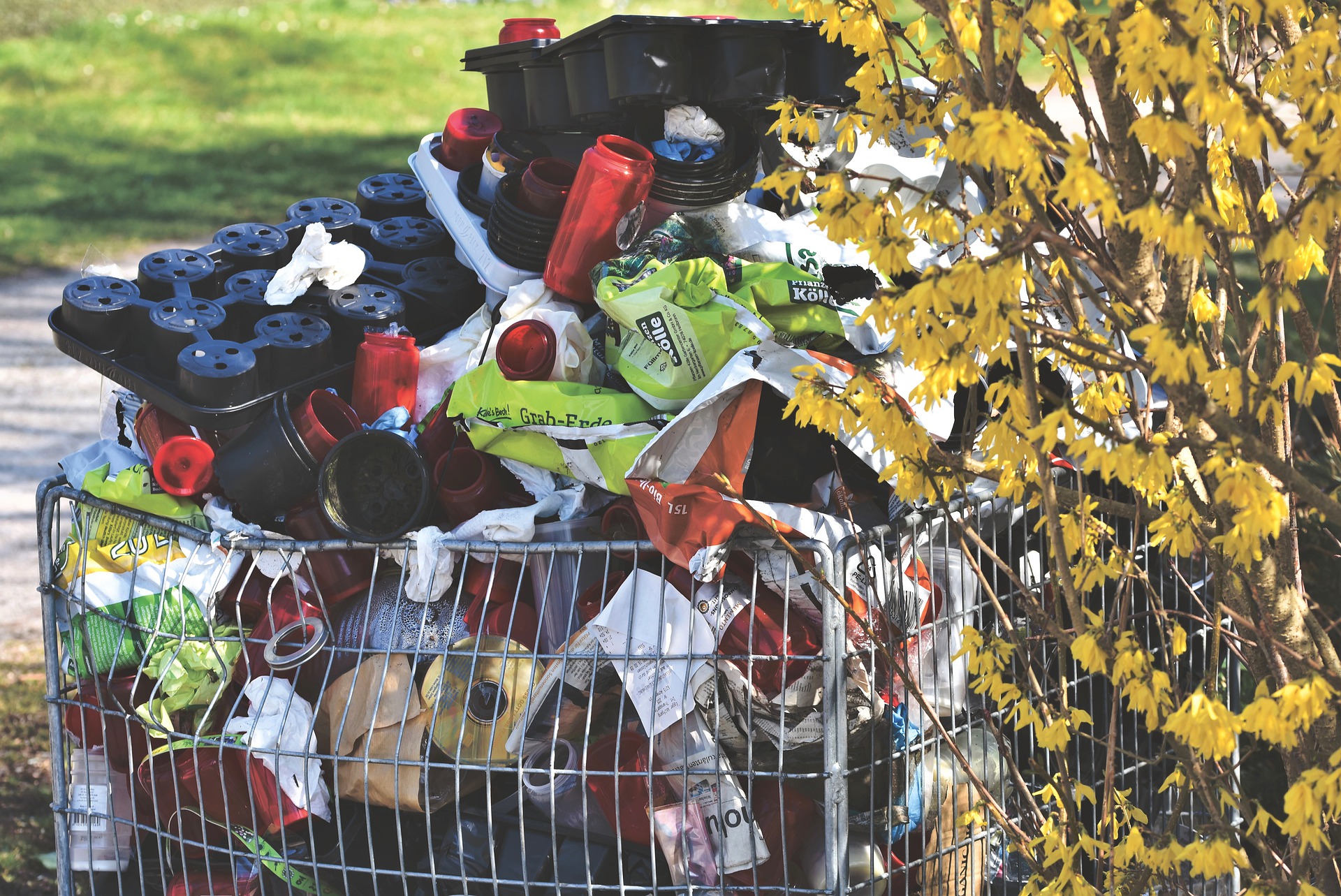 come ridurre lo spreco - di plastica, di acqua, di cibo, di energia - copertina